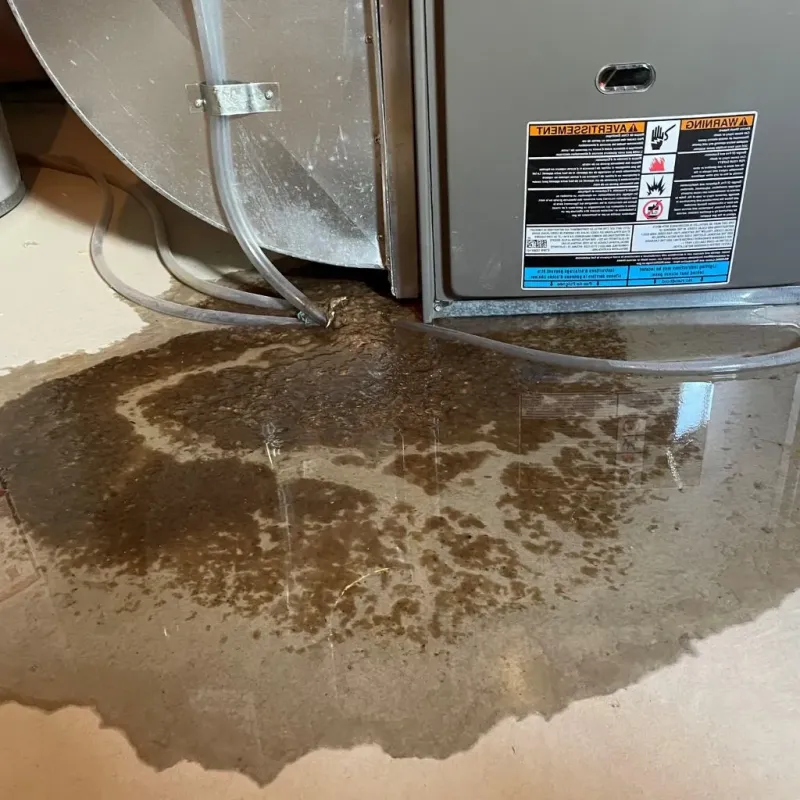 Pipe Burst and Leak Restoration in Peterborough, NH
